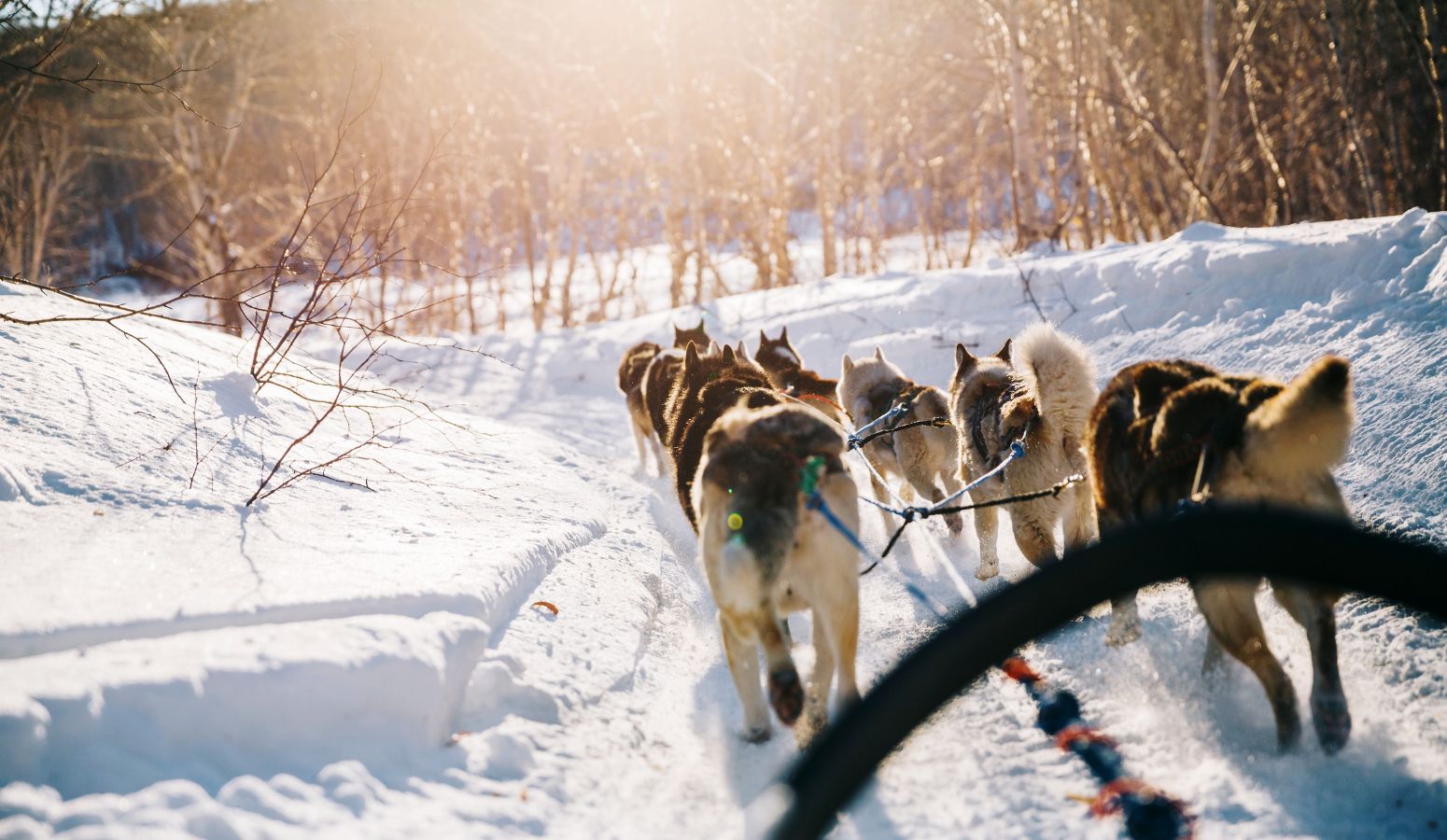viaje a Laponia  Iso Syöte todo incluido diciembre